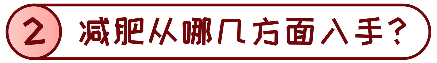 1548226929371785ovC2.png 1548226929371785ovC2.png